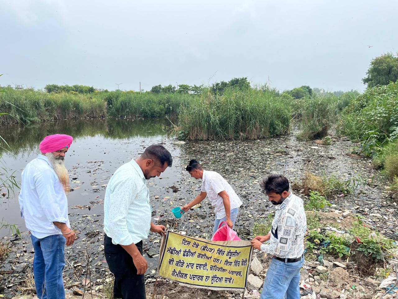 ਜਗਰਾਉਂ ਵਿੱਚ ਡੇਂਗੂ ਰੋਕਥਾਮ ਲਈ ਛੱਪੜਾਂ ਵਿੱਚ ਛੱਡੀਆਂ ਗਈਆਂ ਗੰਬੂਜੀਆ ਮੱਛੀਆਂ